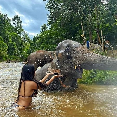 Wild Park Safari Home Stay Udawalawe Bagian luar foto