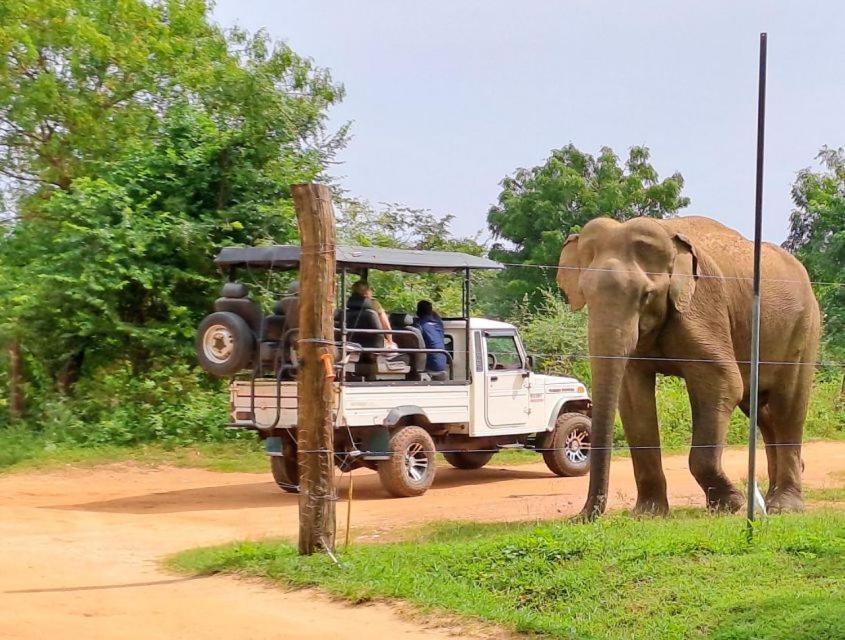 Wild Park Safari Home Stay Udawalawe Bagian luar foto