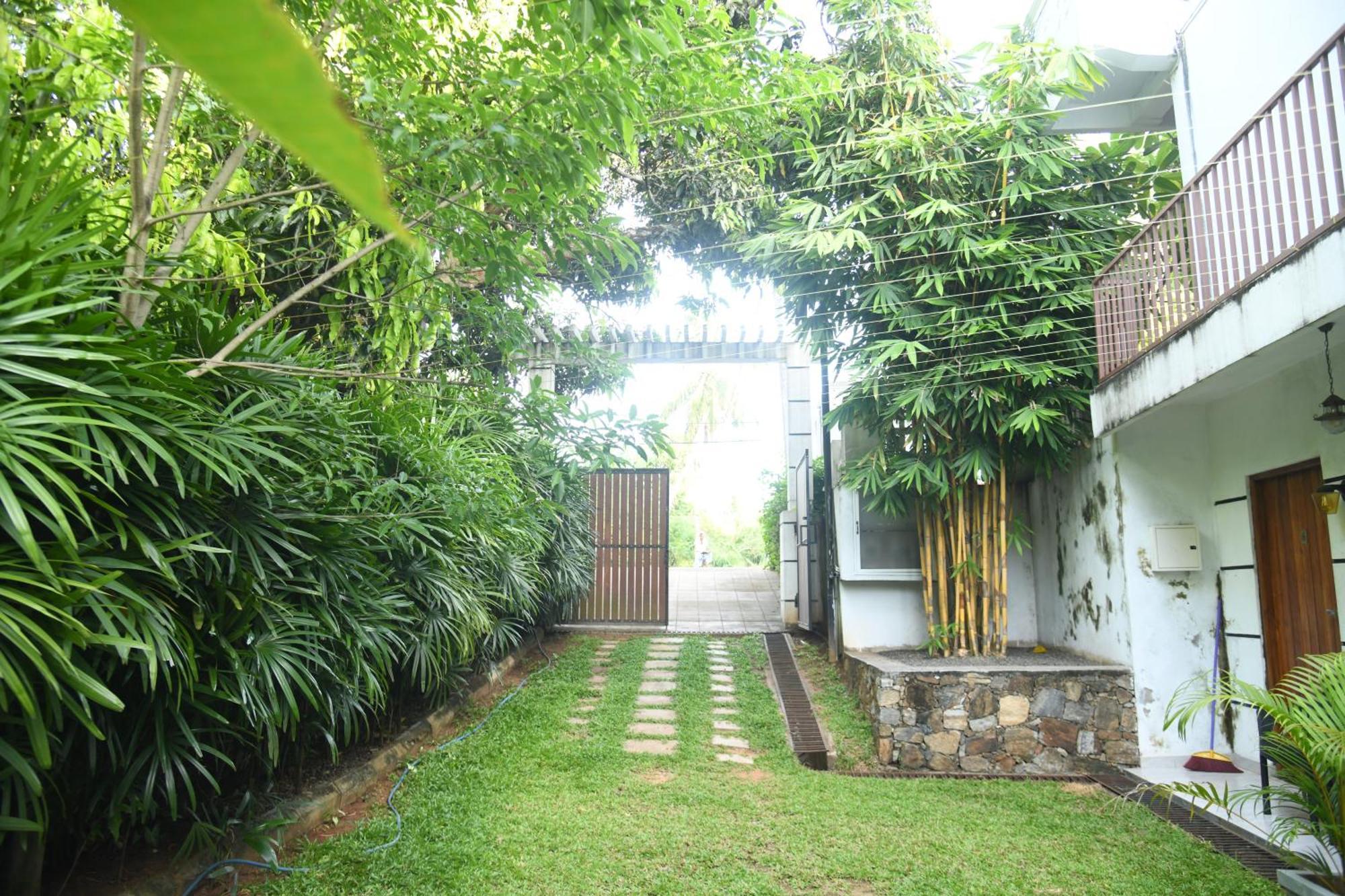 Wild Park Safari Home Stay Udawalawe Bagian luar foto