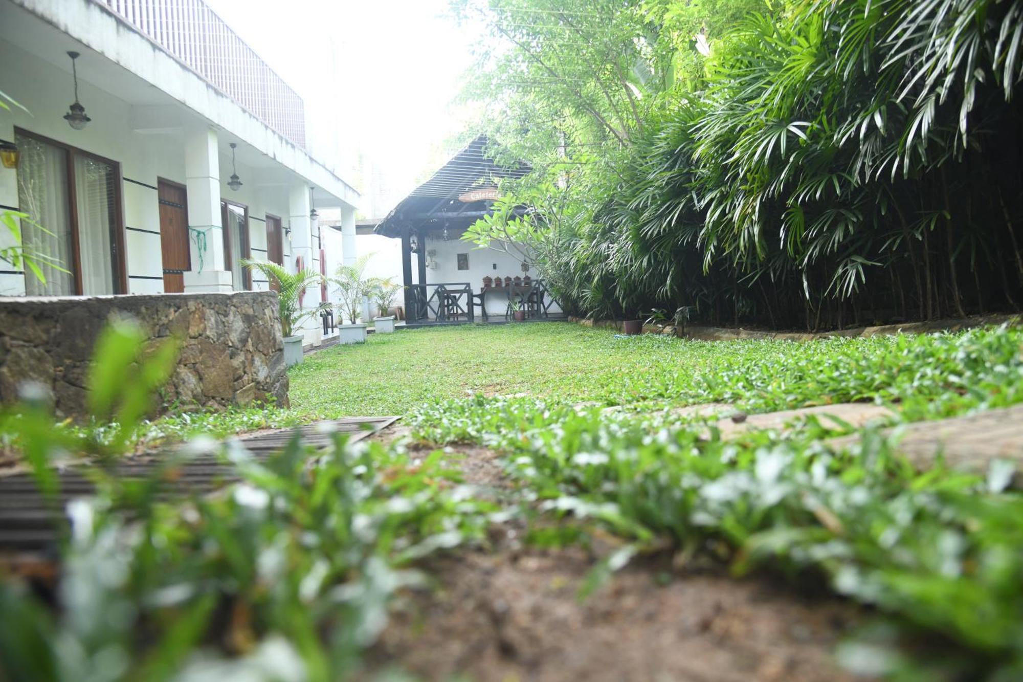 Wild Park Safari Home Stay Udawalawe Bagian luar foto