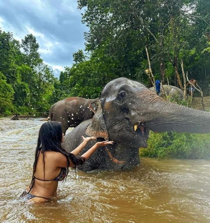 Wild Park Safari Home Stay Udawalawe Bagian luar foto