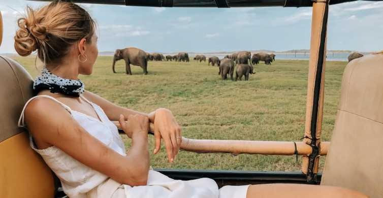 Wild Park Safari Home Stay Udawalawe Bagian luar foto