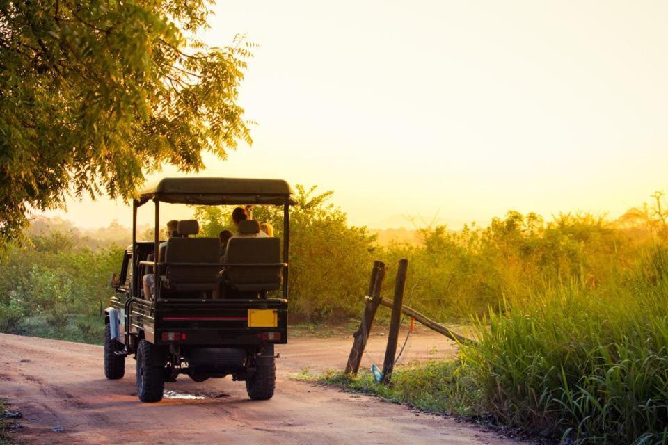 Wild Park Safari Home Stay Udawalawe Bagian luar foto