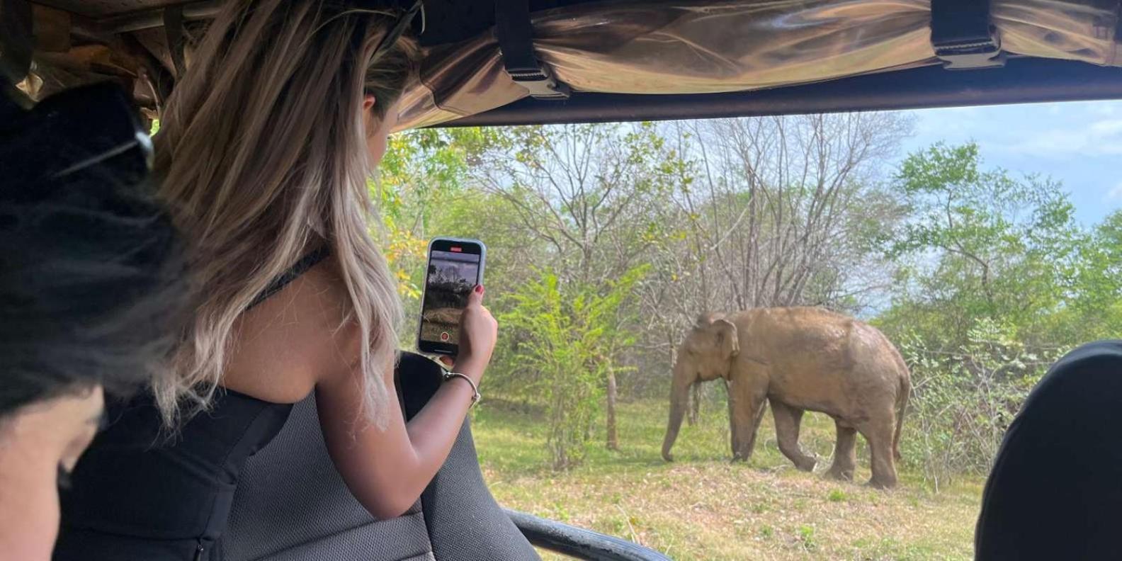 Wild Park Safari Home Stay Udawalawe Bagian luar foto